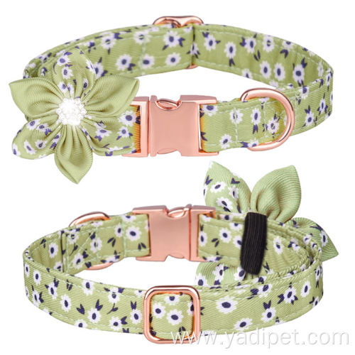 Quick Release Metal Buckle Designer Colorful Collars